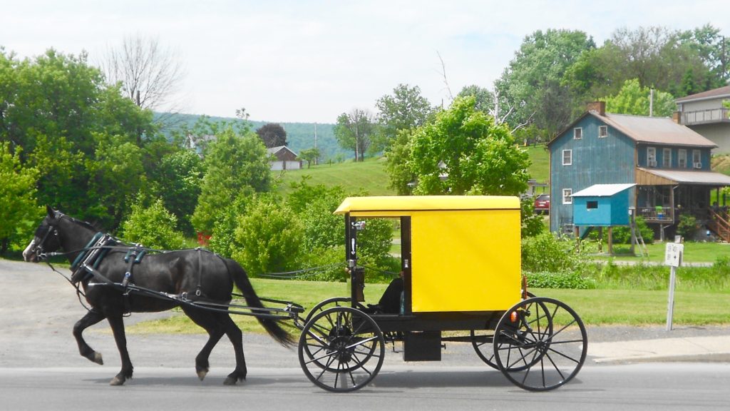 A yellow-topped buggy of the Byler Amish in Belleville, Pennsylvania. Photo by Smallbones.