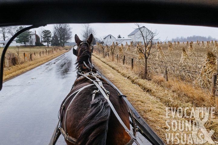 Riding in the front seat of an Amish buggy along country roads near Ashland, Ohio Saturday, January 27, 2018. Photo by Richard Alan Hannon
