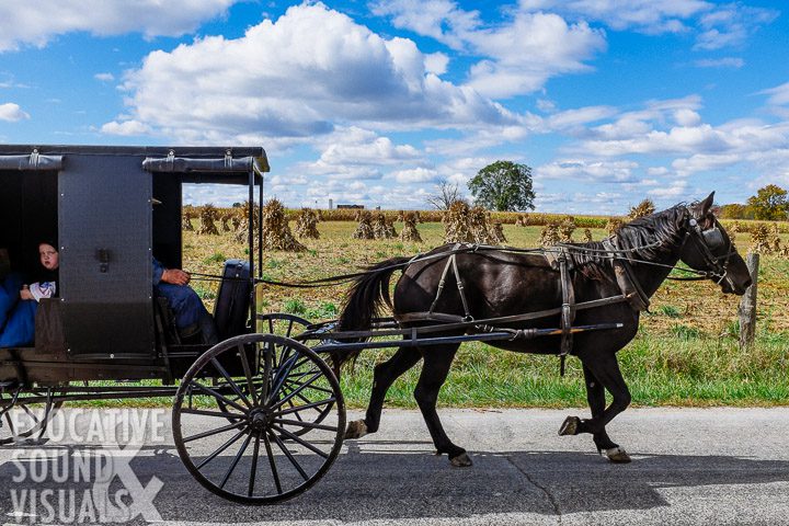 An Amish buggy and its occupants drive past rows of shocked corn drying in the October sun at an Amish farm in north-central Ohio, Monday, October 16, 2017. Photo by Richard Alan Hannon