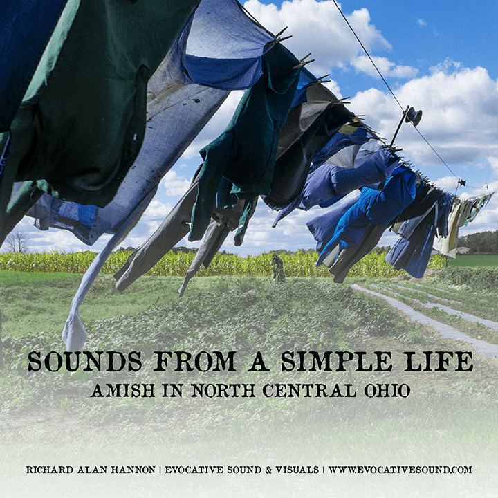 Sounds From a Simple Life album cover image