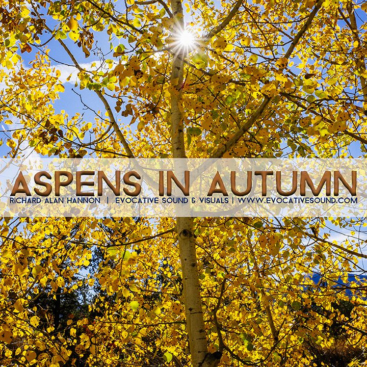 Aspens in Autumn album cover