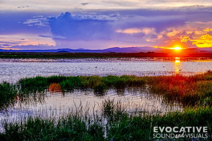 Sunset at Camas Prairie Centennial Marsh Wildlife Management Area in Hill City, Idaho on Monday, May 27, 2019. Photo by Richard Alan Hannon
