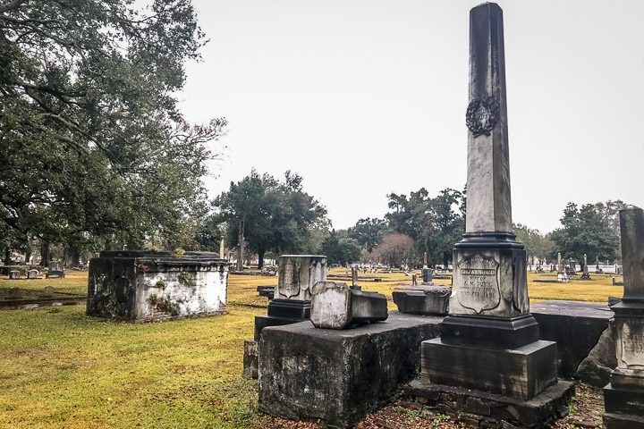 Magnolia Cemetery, December 2019. Photo by Travis Spradling