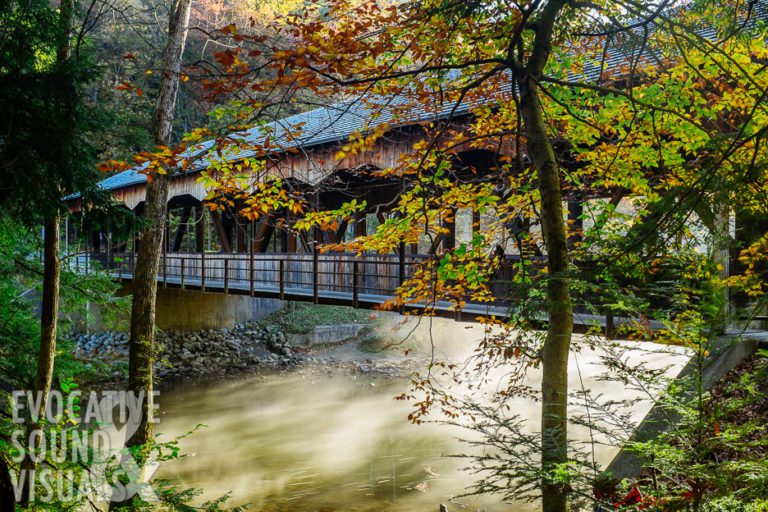 Mohican Through the Seasons