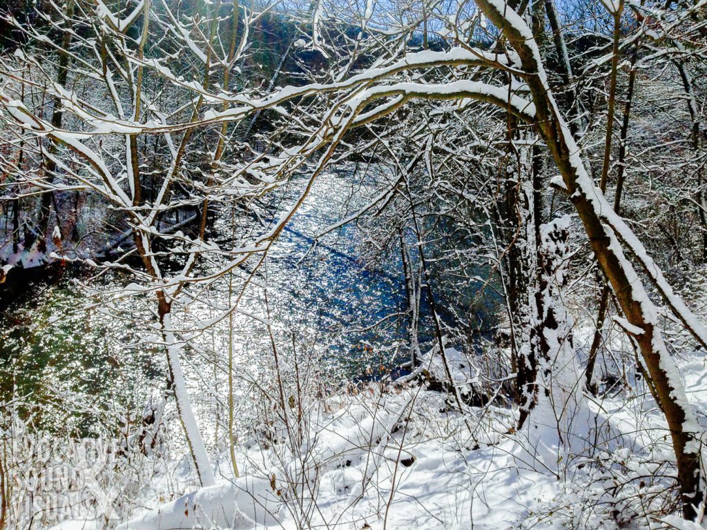 Hiking along the Hemlock Gorge Trail in Mohican State Park during their annual Winter Hike on Sunday, January 14, 2018. Photo by Richard Alan Hannon