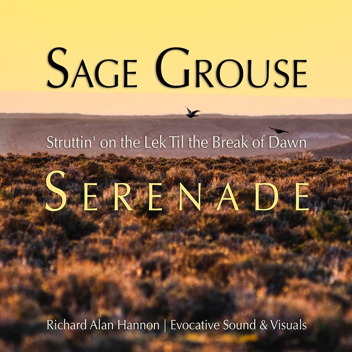 sage grouse serenade album cover