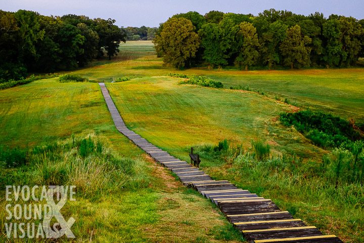 Steps leading up to Mound A at Poverty Point State Historic Site in north Louisiana. Photo by Richard Alan Hannon