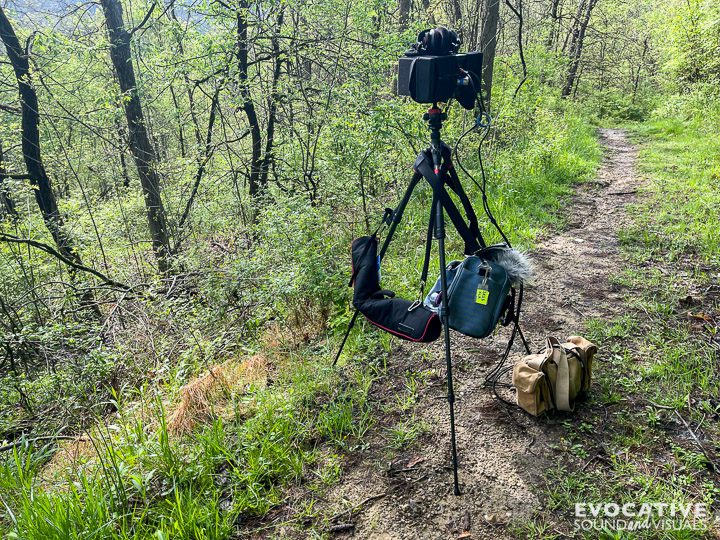 Fastest Sass Rig DIY SASS Microphone Rig - Evocative Sound and Visuals