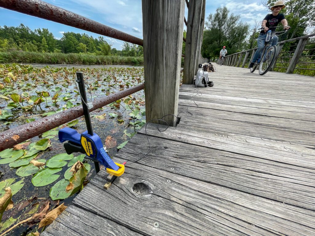 Recording the sound of a boardwalk spanning the Beaver Marsh in Cuyahoga Valley National Park on August 13, 2021. Barcus Berry contact microphones were used to pick up ambient sounds as they travel through the wood and marsh below. Photo by Richard Alan Hannon