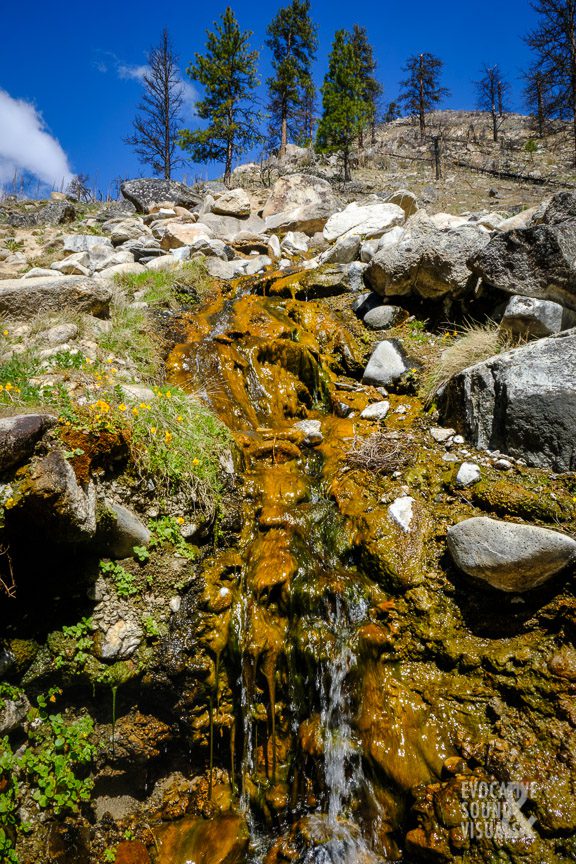 Near the source of Pine Flat Hot Springs in south-central Idaho on Friday, April 16, 2021. Photo by Richard Alan Hannon