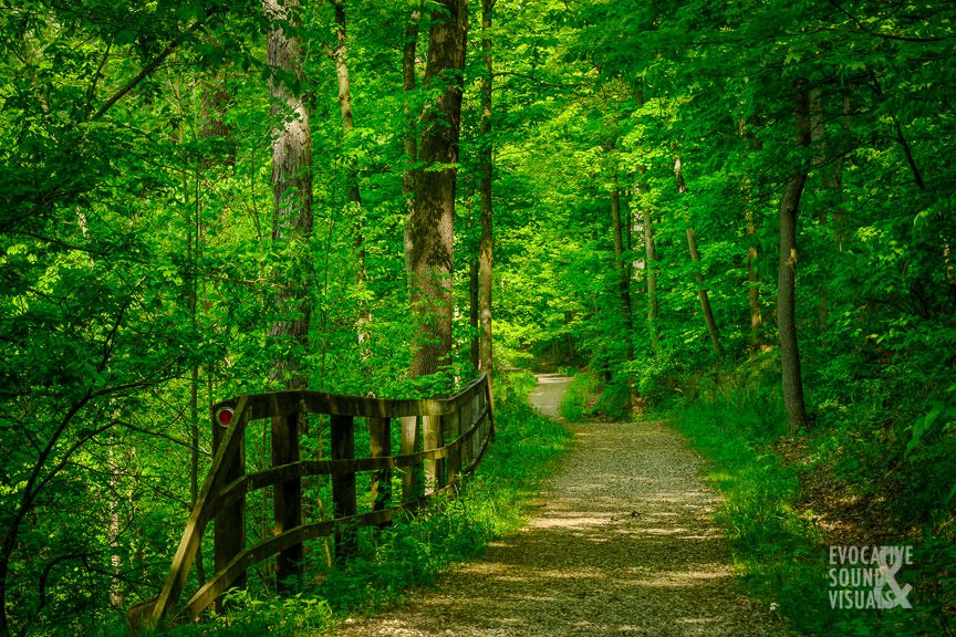 Along the Old Carriage Trail in Cuyahoga Valley National Park on Saturday, May 21, 2022. The far end of the bridge served as my recording location, 770 feet (235 meters) above sea level. There is an approximately 118 feet difference between the location and where the train travels below. Photo by Richard Alan Hannon