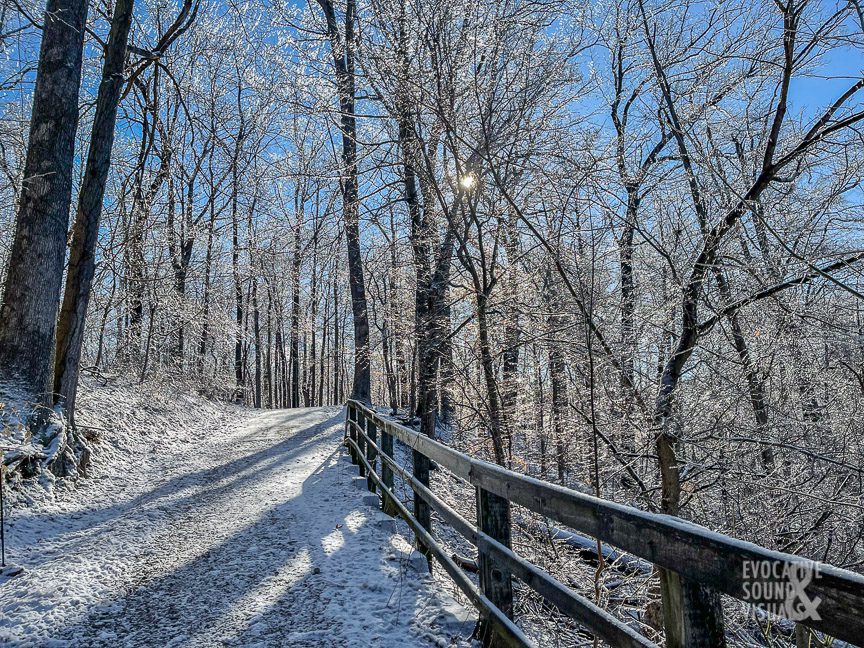 Icicles clinging to bare trees begin to melt as the rising sun hits them along the Old Carriage Trail in Cuyahoga Valley National Park on Saturday, February 26, 2022. Photo by Richard Alan Hannon