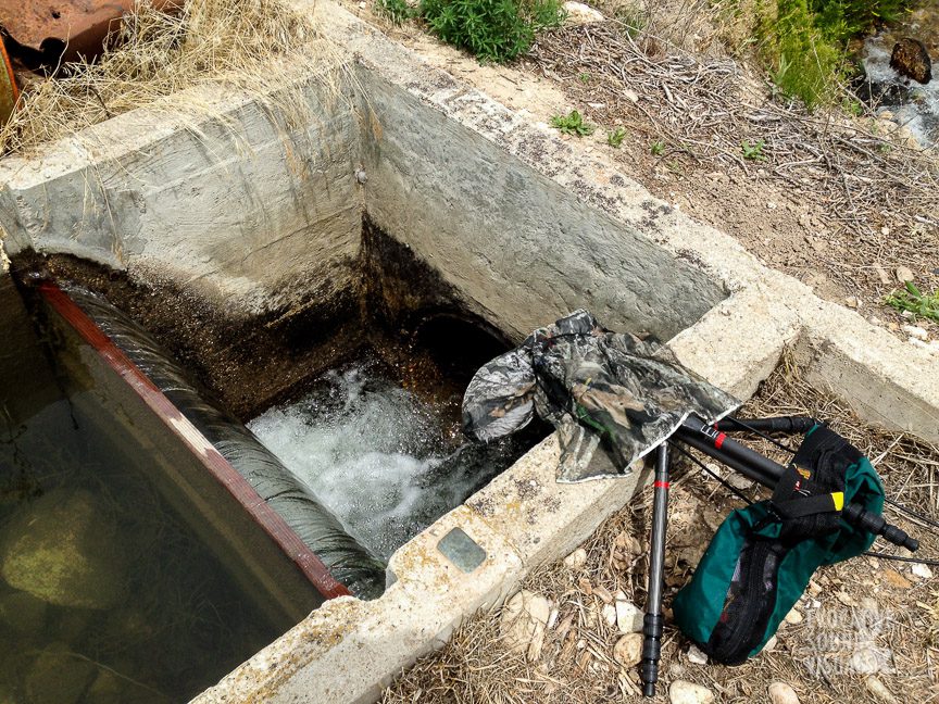 Recording the sound of the State Lateral irrigation canal south of Meridian, Idaho on June 27, 2020. Photo by Richard Alan Hannon