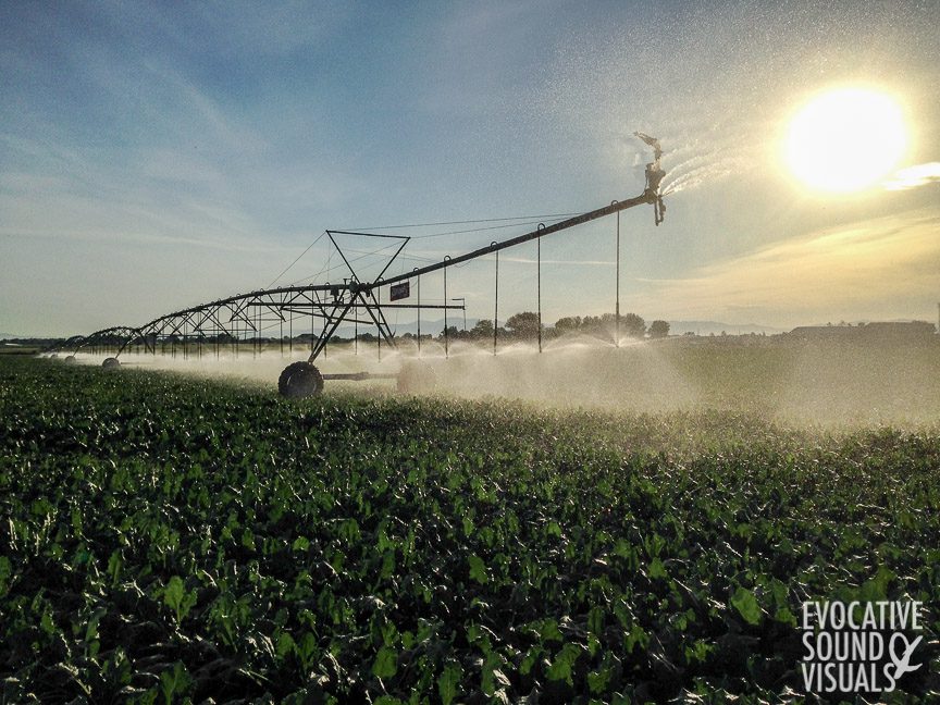 Sound recording of center pivot irrigation in a sugar beat field south of Meridian, Idaho on June 27, 2020. Photo by Richard Alan Hannon