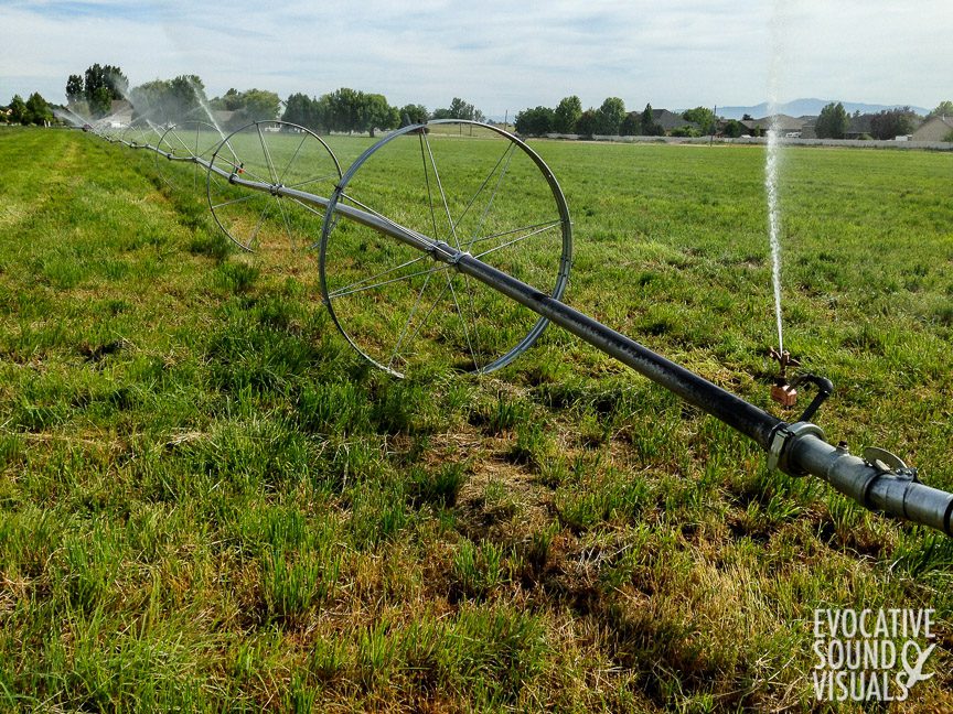 Recording the sound of wheel line irrigation in a field south of Meridian, Idaho on June 27, 2020. Photo by Richard Alan Hannon