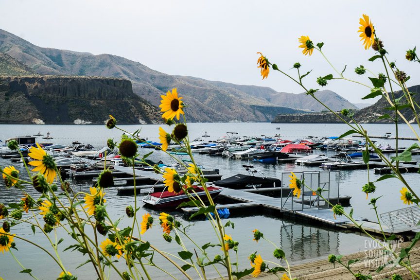 Recording the underwater sound of Lucky Peak Reservoir from Spring Shores Marina east of Boise, Idaho on Thursday, August 27, 2020. Photo by Richard Alan Hannon