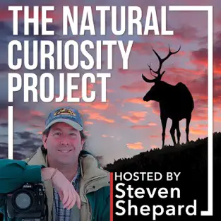 The Natural Curiosity Project podcast