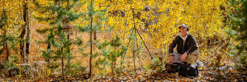 Field recordist and photographer Richard Alan Hannon capturing the sound of dry aspen tree leaves fluttering in the breeze near McCall, Idaho. Photo by Denise Porter