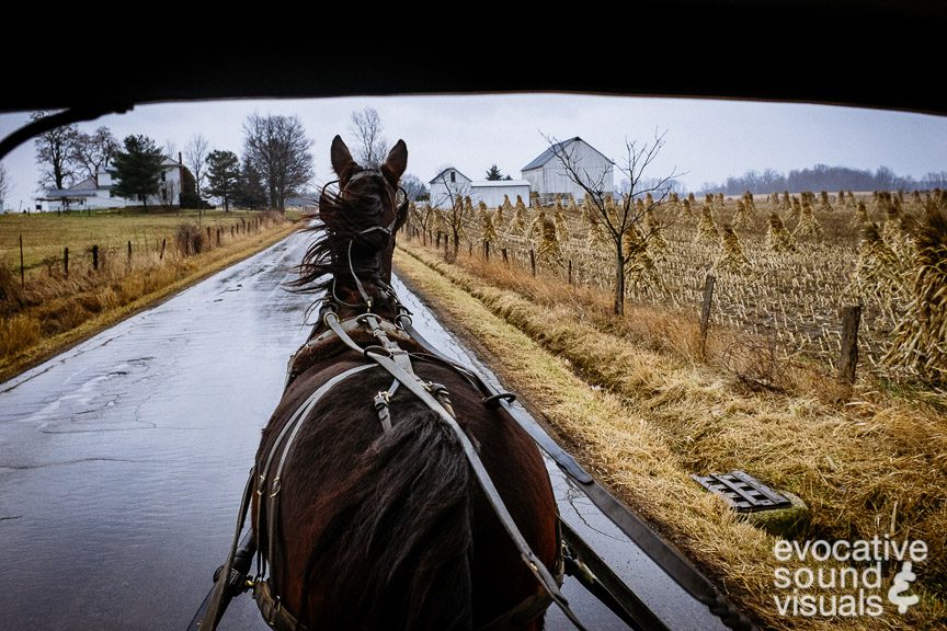 Riding in an Amish buggy along country roads north of near Ashland, Ohio Saturday, January 27, 2018. Photo by Richard Alan Hannon