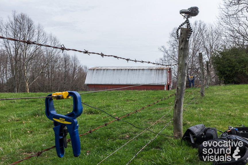 Sound recordist Richard Alan Hannon capturing the sound of a wire fence with a pair of Barcus Berry contact microphones in Mansfield, Ohio on March 30, 2016. Photo by Richard Alan Hannon.