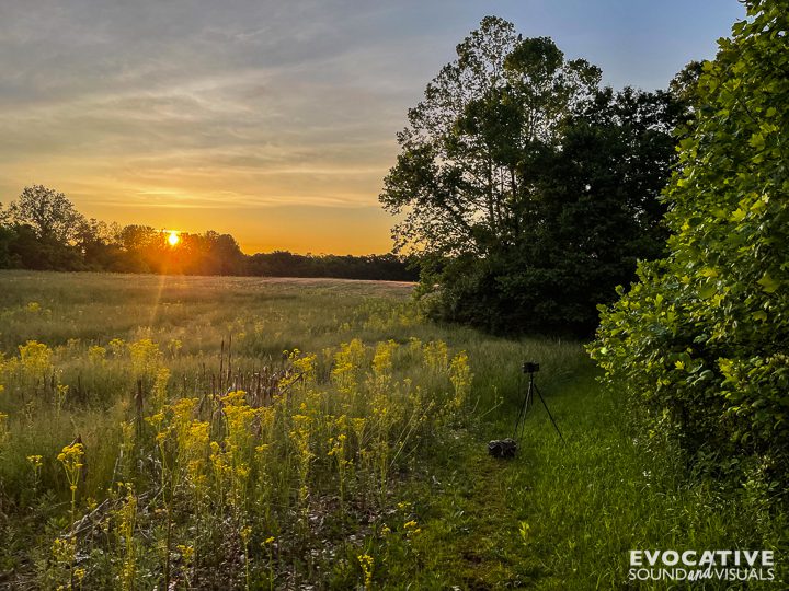 Capturing the sound of the dawn chorus in a field in outside the Murphin Ridge Inn in West Union, Ohio on May 26, 2025. Photo by Richard Alan Hannon