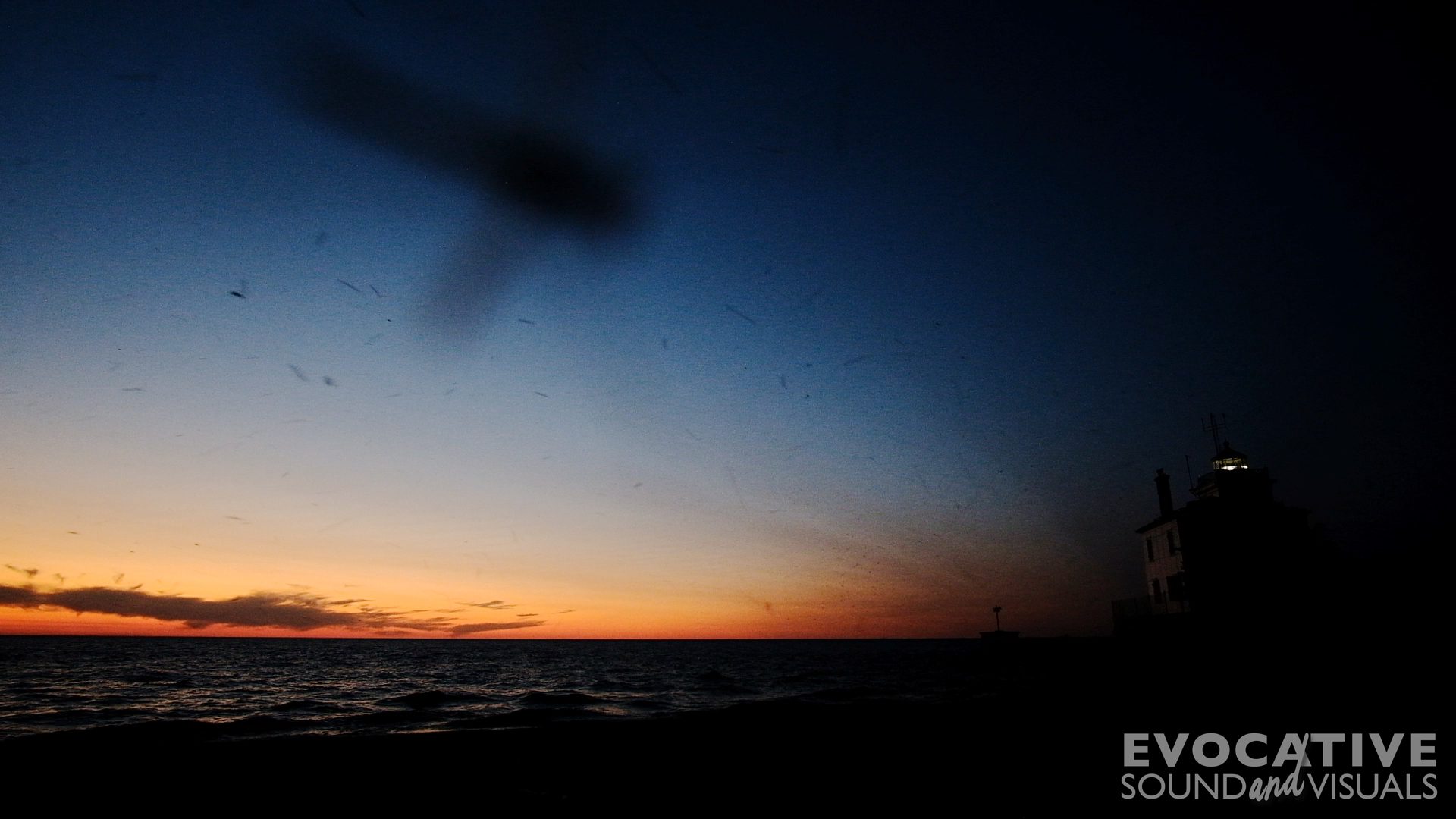 Watch as millions of midges swarm above Headland Dunes State Nature Preserve along the shore of Lake Erie in Mentor, Ohio around sunset on Sunday, June 1, 2025.